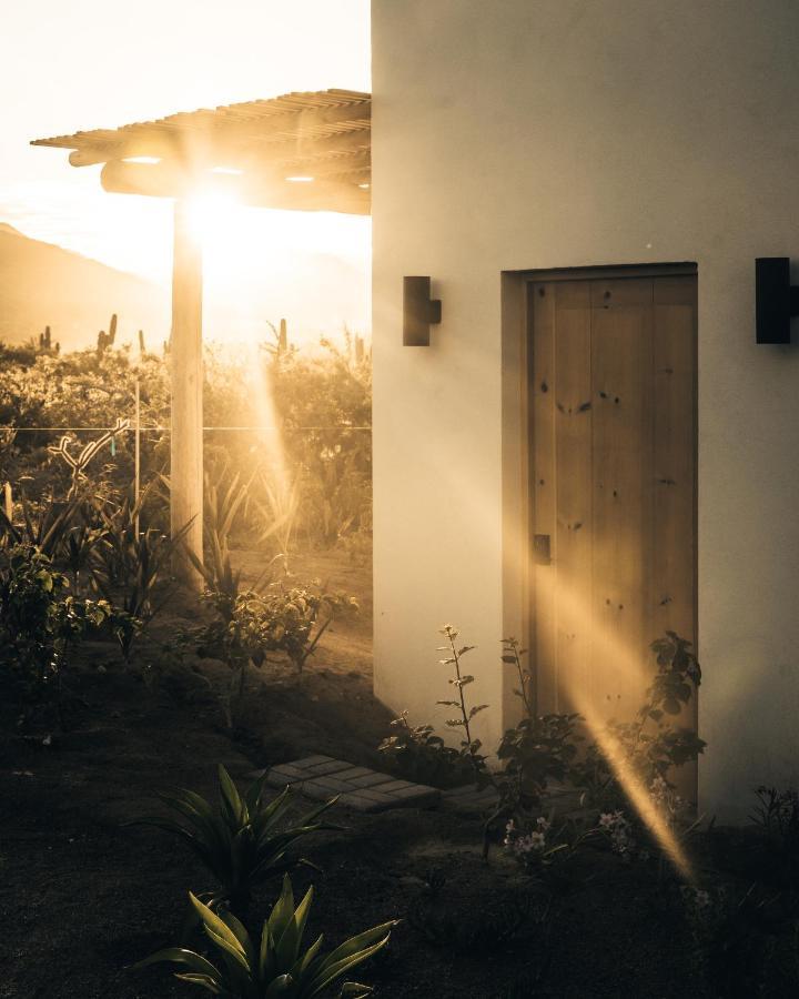 Hotel So Far So Good El Pescadero  エクステリア 写真
